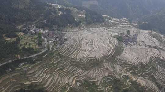 航拍从江加榜梯田