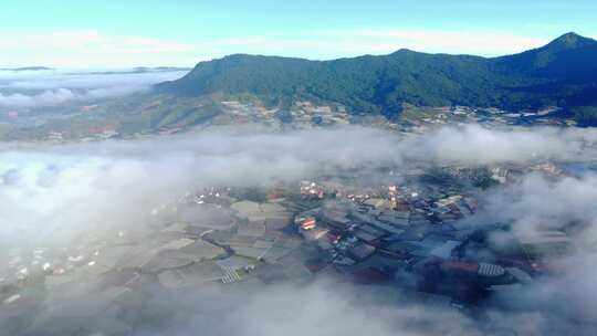 航拍云雾农村成片塑料种植大棚