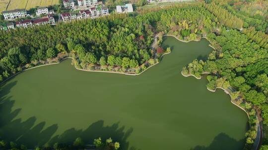 上海金山区蝶镜湖公园航拍4K