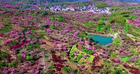 视频素材，自然风景，记录家乡美景治愈森林