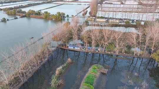 湖光渔家 生态湿地 塘口