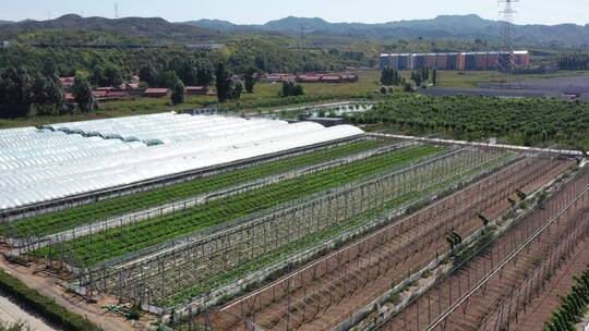 航拍蔬菜大棚基地