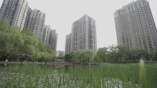 高层住宅旁池塘绿植景观