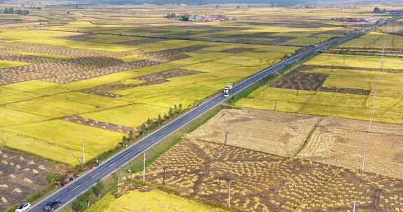 穿过农田的公路