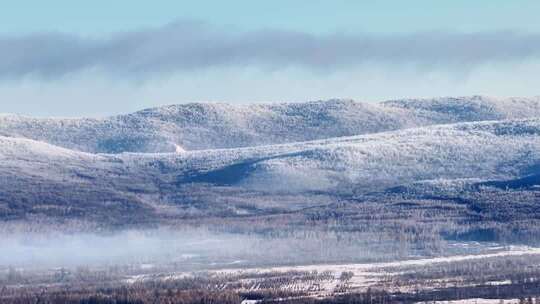 航拍冬季雾中林海雾凇视频251202-9