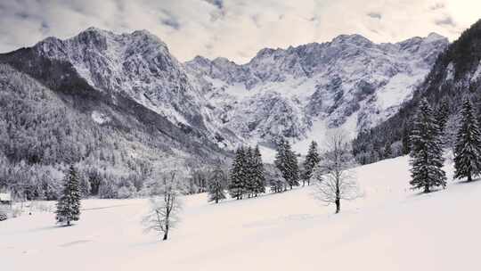 冬季空中被白雪覆盖的山脉包围的雪树