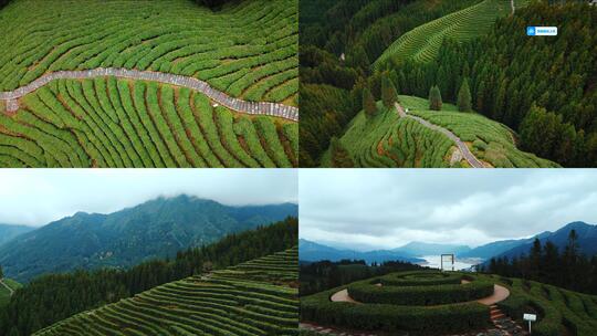 眉山复兴村高山茶园风景合集