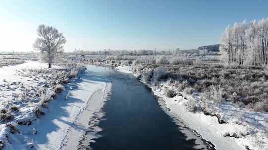 大兴安岭初冬湿地河流雪松美景