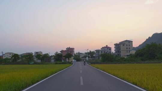 乡村道路金黄稻田景象