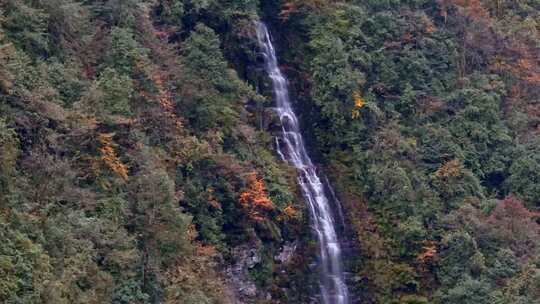 高清实拍眉山洪雅瓦屋山森林瀑布