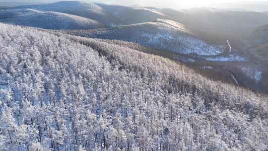 航拍大兴安岭林海雪原风光