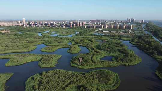 天津市静海区团泊镇生态乡村风光