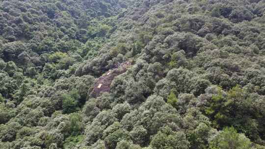 大山深处正在做速降体验的夏令营