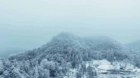 雪山雾凇雪凇航拍4K