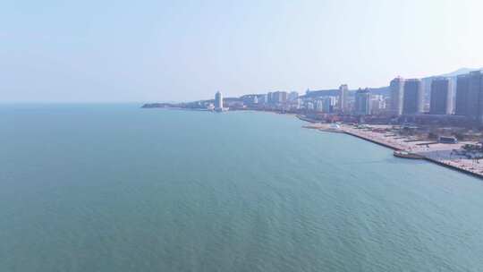 烟台滨海广场 海鸥