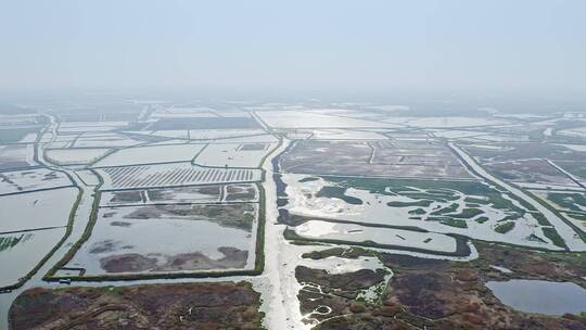 航拍江苏盐城九龙口自然保护区农田湖景