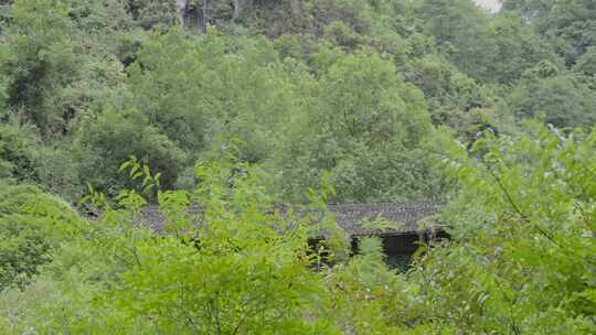 重庆酉阳桃花源景区