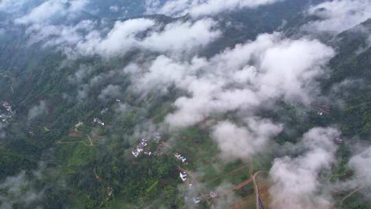 大雾清晨云雾大山云海森林自然云山脉山区