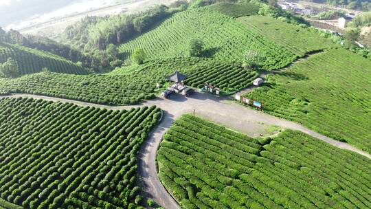 安徽省宣城市旌德县路西茶园航拍风光