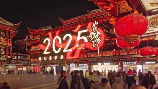 2025年上海豫园民俗艺术灯会春节新年