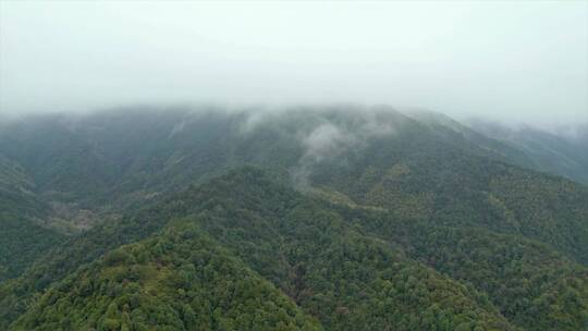 被大雾笼罩的山脉航拍视频素材模板下载