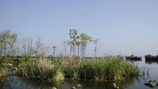 东大河湿地公园