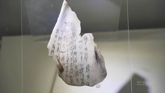 中国古汉字古文字甲骨文视频素材模板下载