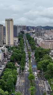 竖屏深圳城市大道