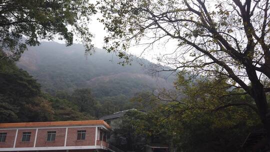 南楼寺 寺庙 罗浮山