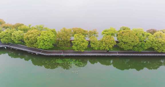 武汉东湖风景区夏季风光