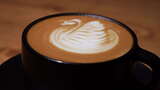 咖啡拉花艺术，天鹅图案拉花的香醇拿铁咖啡高清在线视频素材下载