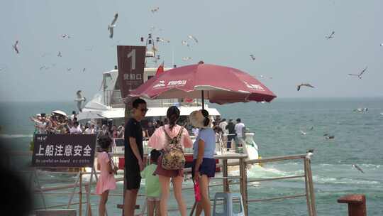 山东荣成那香海景区鸡鸣岛的游轮与海鸥