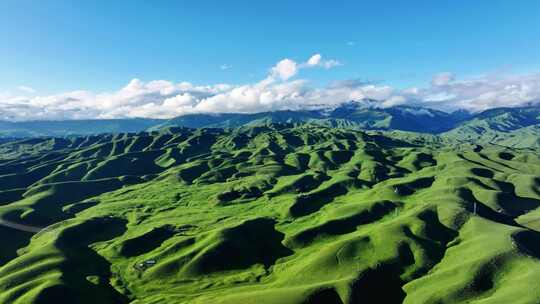 新疆伊犁唐布拉百里画廊大草原