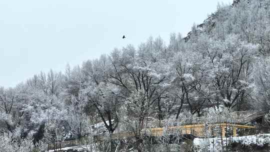 阿坝州松潘古城雪景素材