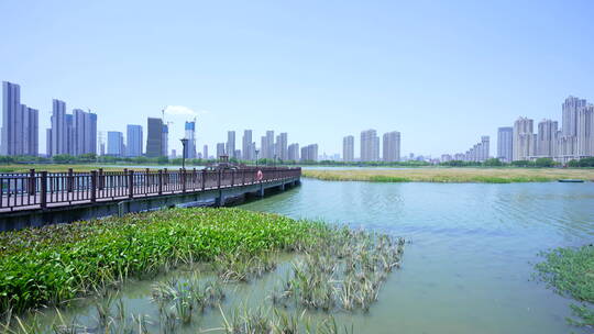 武汉杨春湖城市生态公园风景