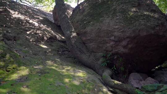 杭州宝石山景区4K视频素材