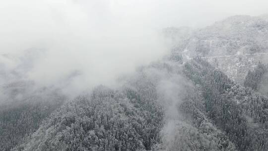 冬天森林雪景