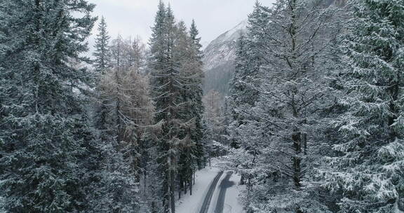 航拍四姑娘山景区雪地松林小路