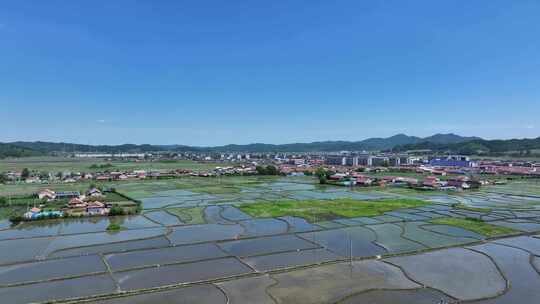 辽宁抚顺新宾满族自治县