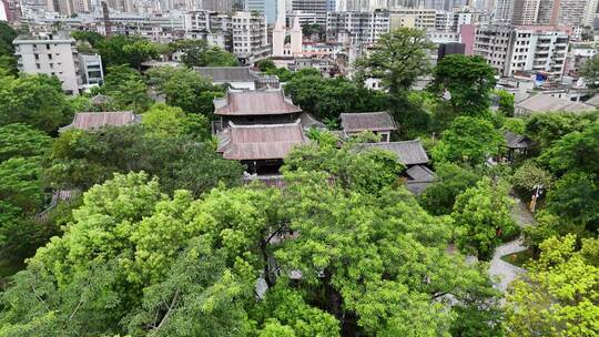 惠州 惠城区 大湾区 惠州西湖