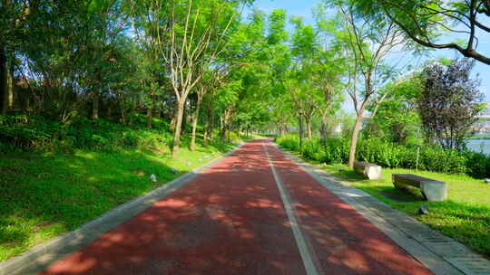 阳光林荫小路 跑道 绿道 骑行道