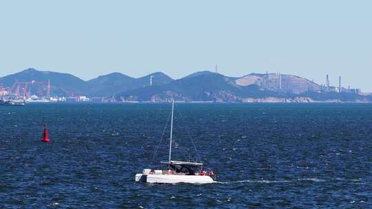 慢动作航拍大连东港蔚蓝海面帆船与海鸥共舞