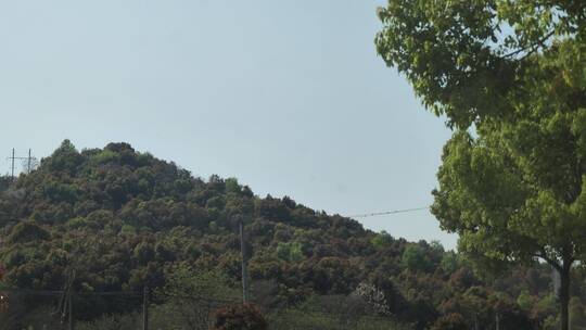 春天户外景色房屋实拍