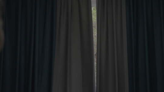 室内窗帘缝隙外的绿植景象