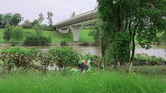 洪水退去的河岸边4K120帧升格视频