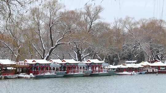 园林雪景