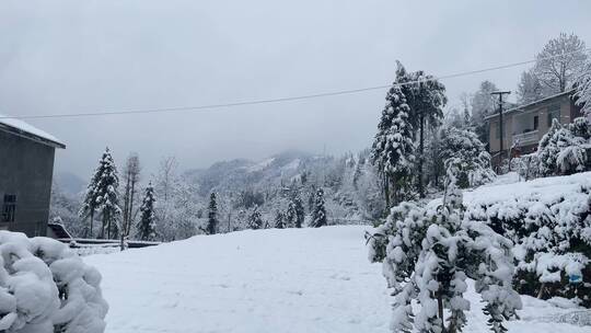 雪景 踏雪进山 雪中行 大雪视频素材模板下载