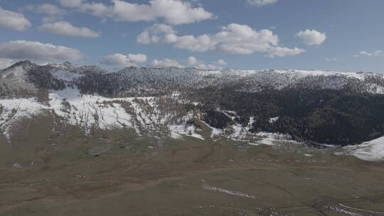 新疆 航拍 雪山 山脉 树林 树丛 雪景 蓝天