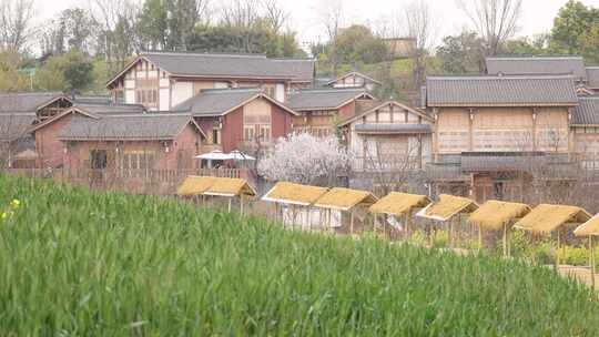 麦田 小麦 稻田 田野 村落 水车 亭子