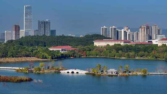 广州增城荔湖公园城市湖泊与现代建筑景观